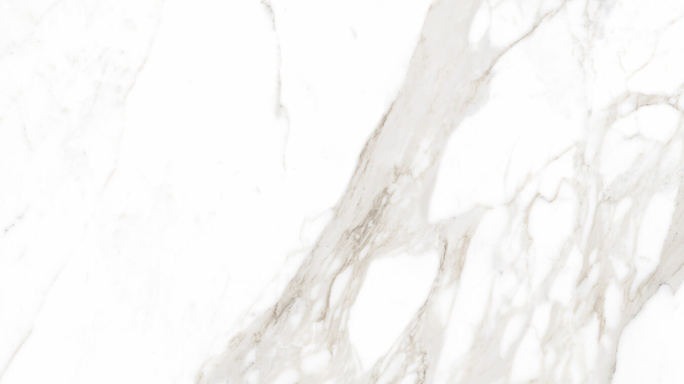 ragno incanto r8np.jpg