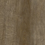 ragno inedito radr.jpg