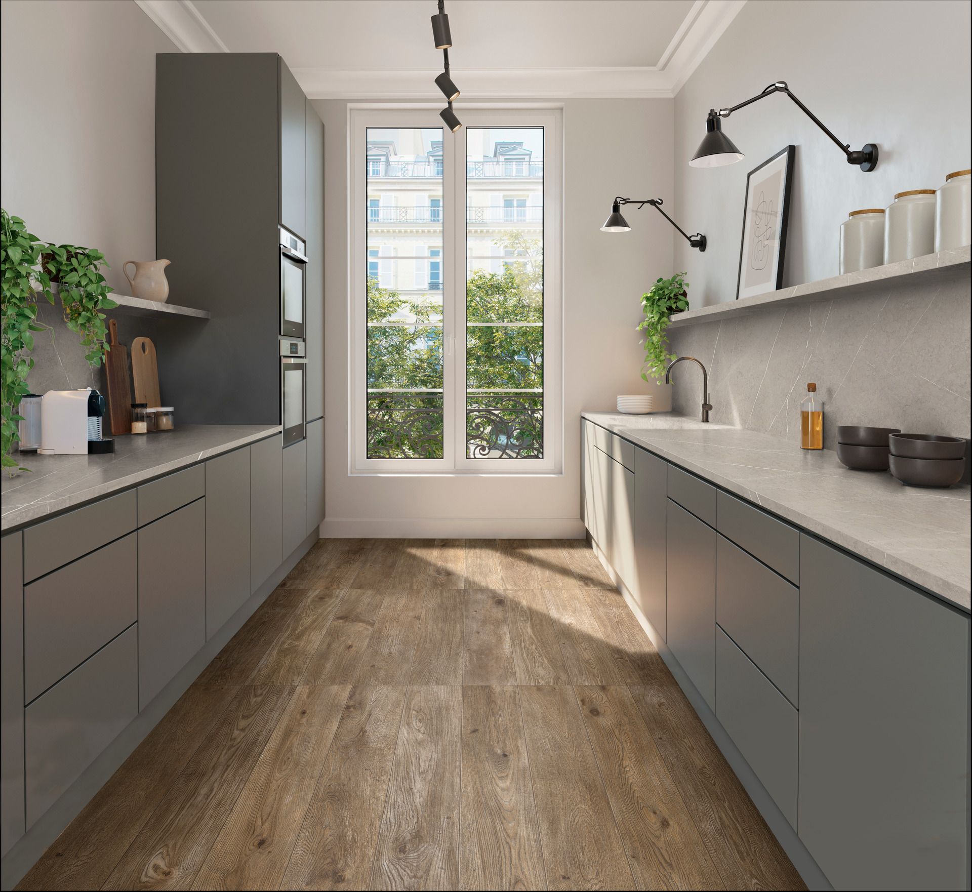 ragno inedito 007.jpg