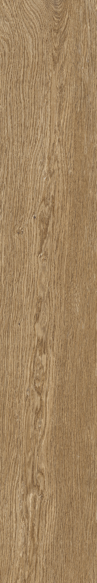 ragno ossimori r9th.jpg