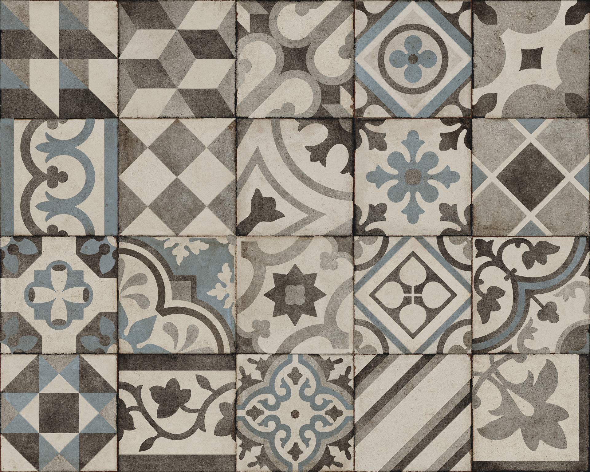 ragno ottocento rffx.jpg