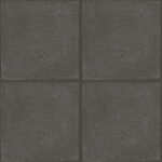 ragno ottocento rkms.jpg