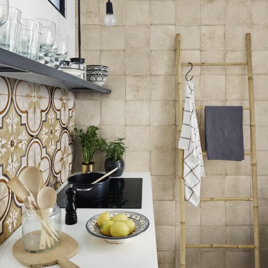 ragno ottocento 008.jpg