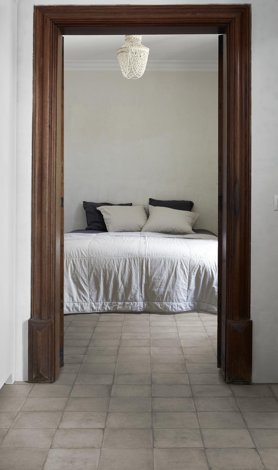 ragno ottocento 010.jpg