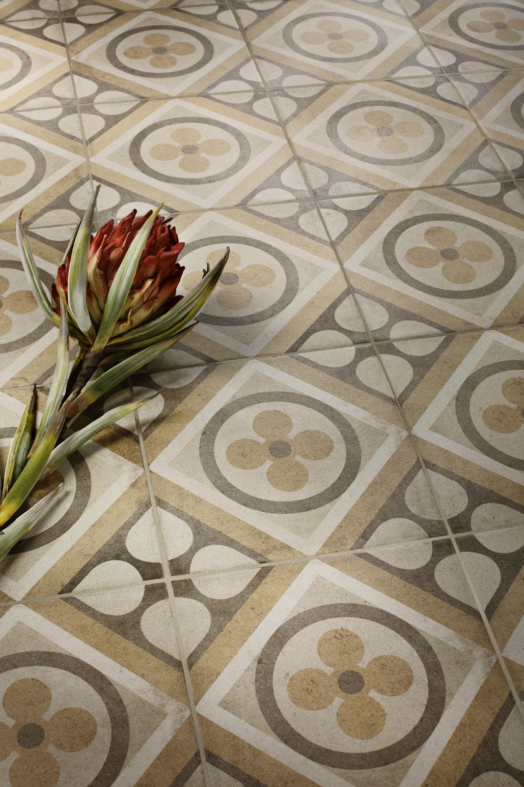 ragno ottocento 014.jpg