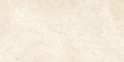 ragno realstone argent r9ha.jpg