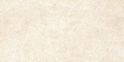 ragno realstone argent r9j0.jpg