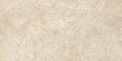 ragno realstone argent r9jc.jpg