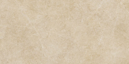 ragno realstone argent r9jf.jpg
