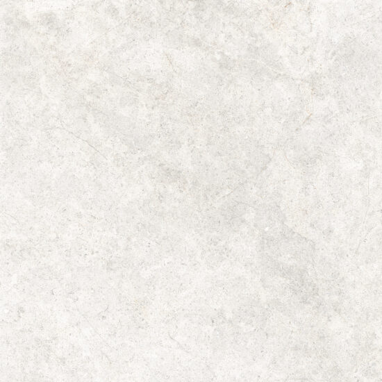 ragno richmond rce4.jpg