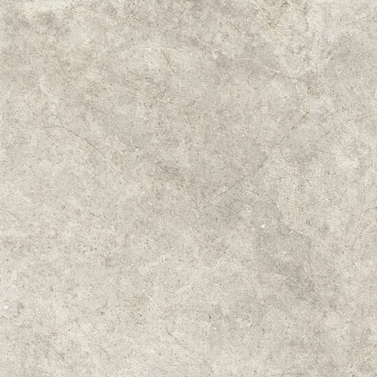ragno richmond rce5.jpg