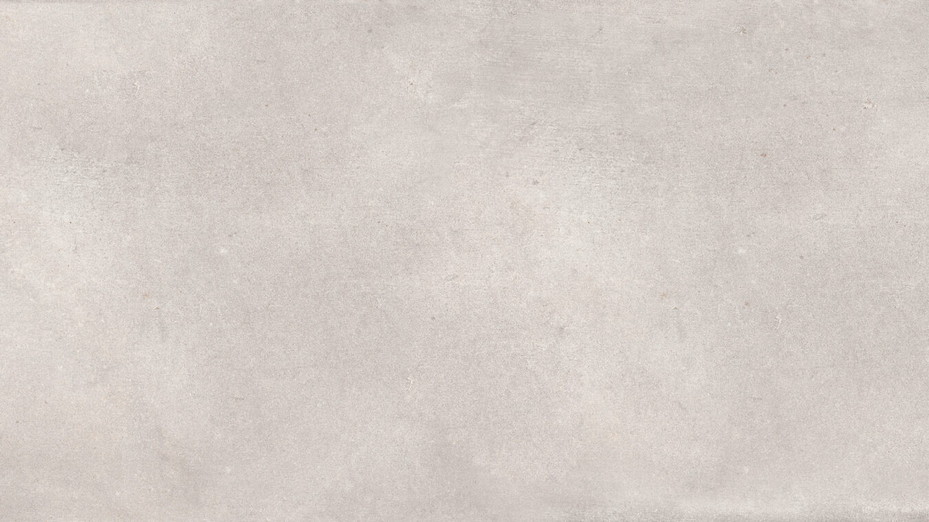 ragno studio r4ps.jpg