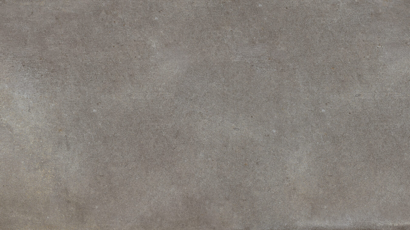 ragno studio r4pt.jpg