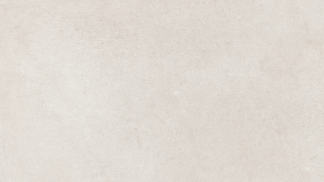 ragno studio r4pu.jpg