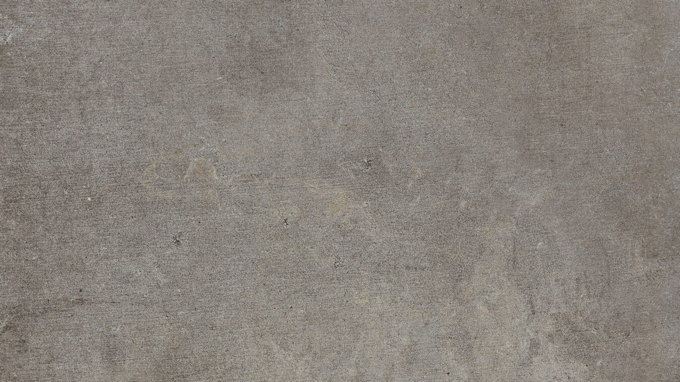 ragno studio r4py.jpg