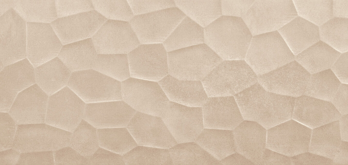 ragno terracruda r6zq.jpg