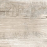 ragno woodmania r55z.jpg