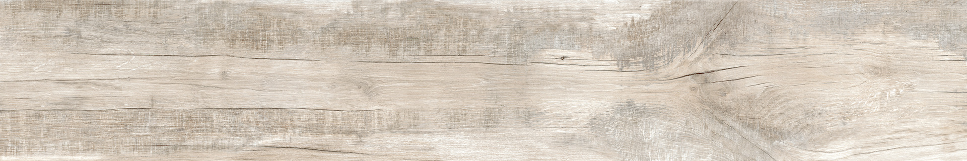 ragno woodmania r55z.jpg