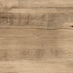 ragno woodmania r56a.jpg