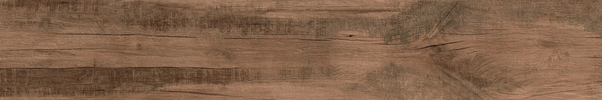 ragno woodmania r56c.jpg