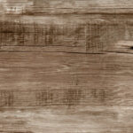 ragno woodmania r56d.jpg
