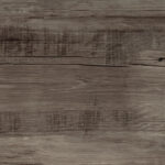ragno woodmania r56e.jpg
