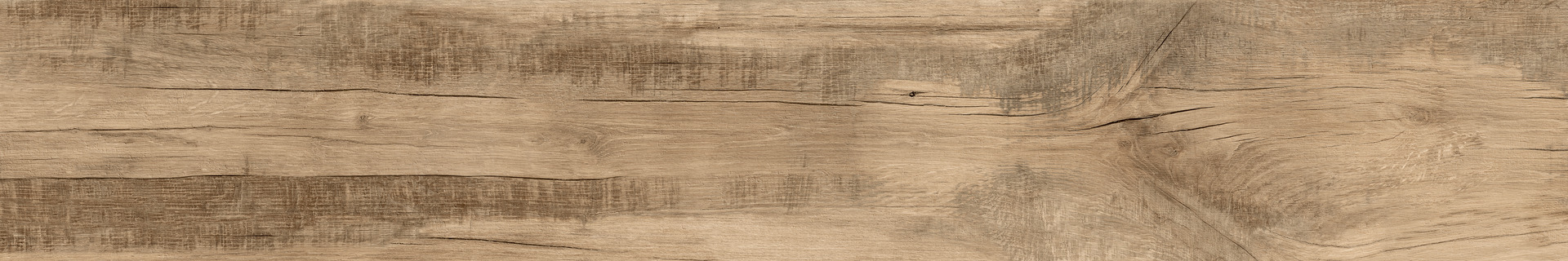 ragno woodmania r56m.jpg