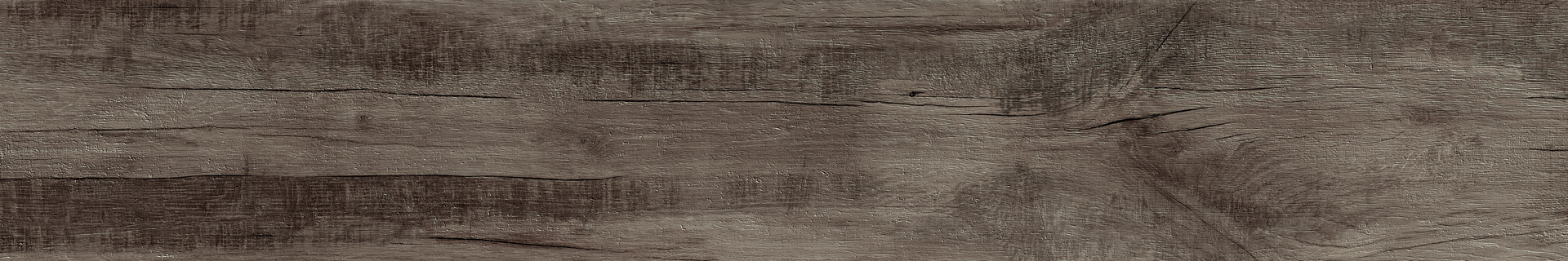 ragno woodmania r56q.jpg