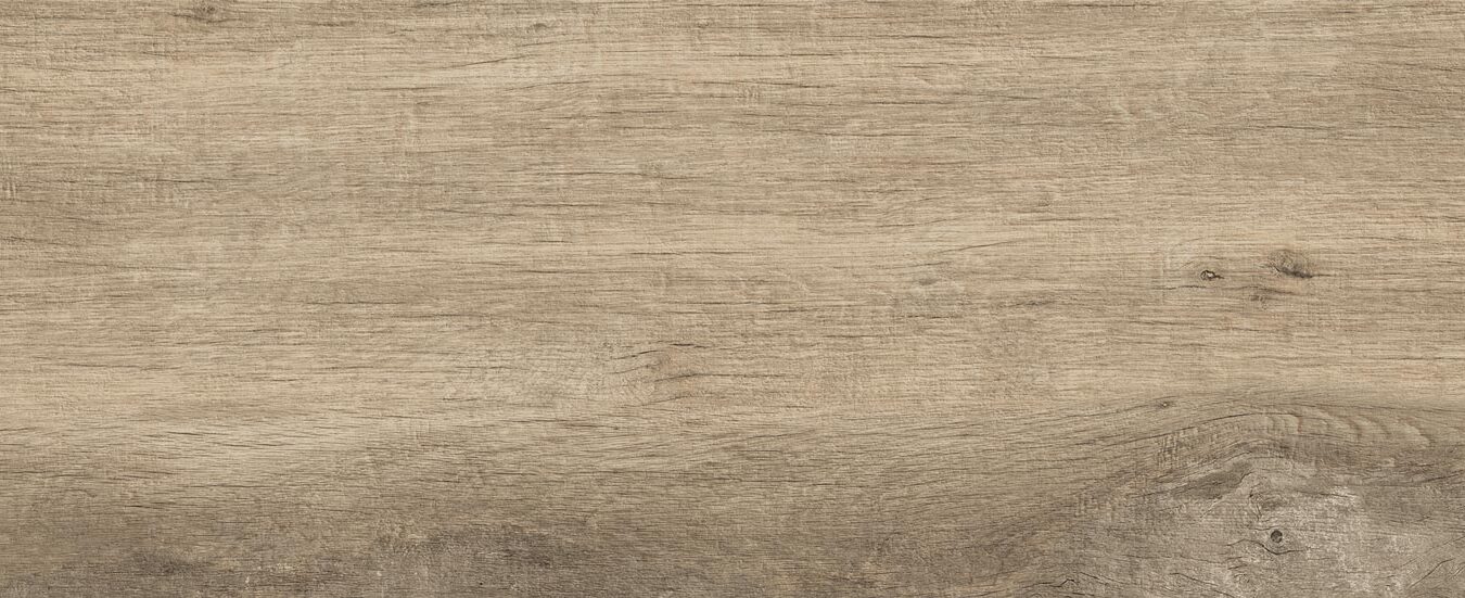 ragno woodmania xt20 r5tr.jpg