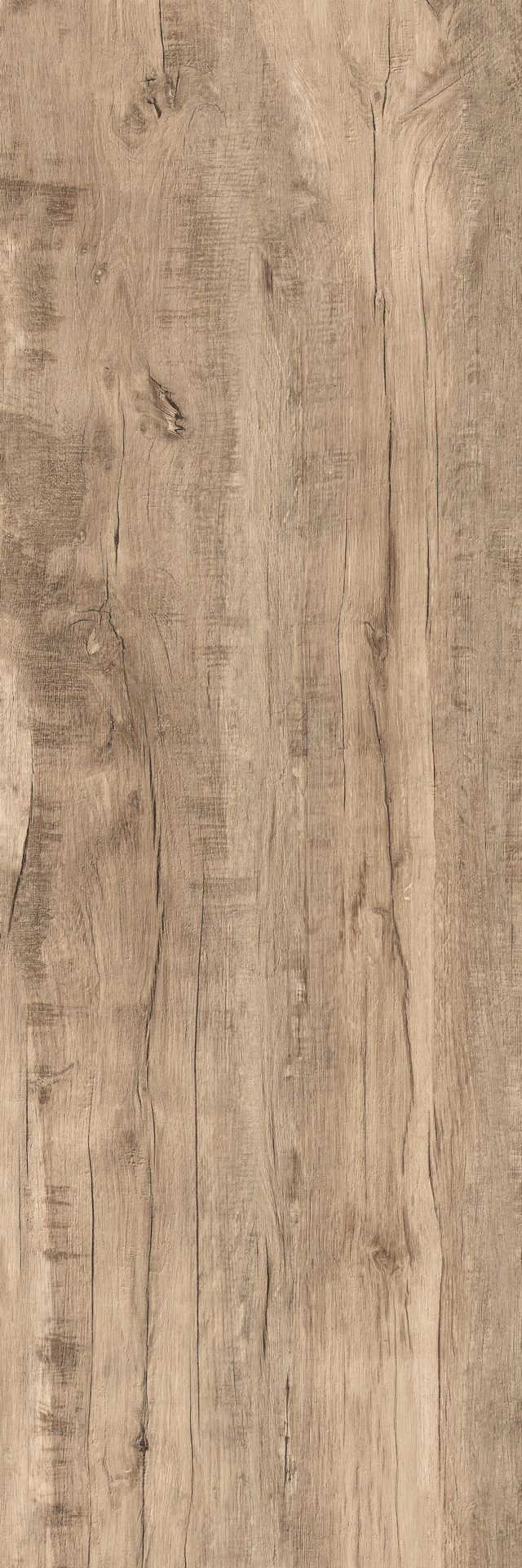 ragno woodmania xt20 r5tr.jpg