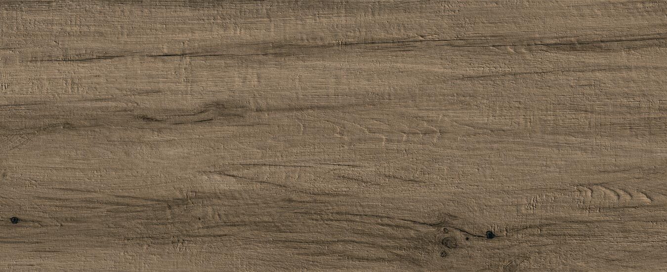 ragno woodmania xt20 r5ts.jpg