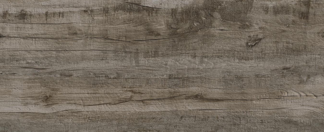 ragno woodmania xt20 r5tt.jpg