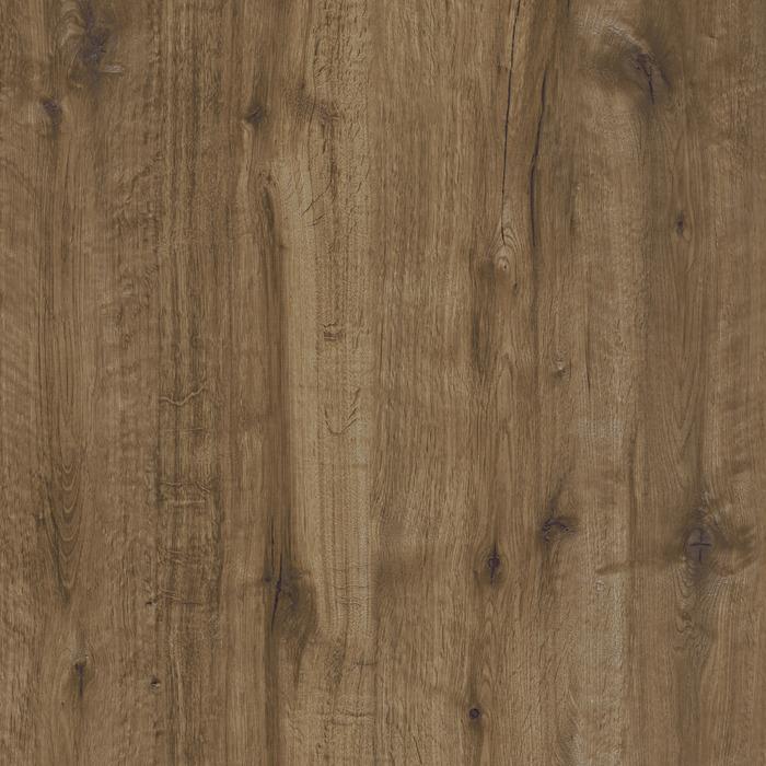 ragno woodtale xt20 r4xj.jpg