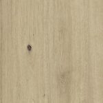 ragno woodtale xt20 r51w.jpg