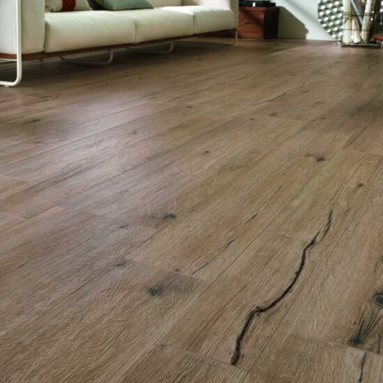 ragno woodtale 002.jpg